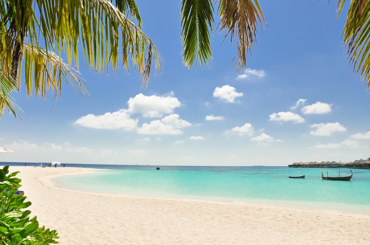 Caribbean Cruise Collection - Verified Cruise Destination